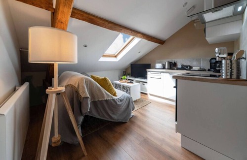 Vieux Vichy Apartment | Design apartment in the city center