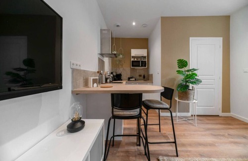 Vieux Vichy Apartment | Design apartment in the city center