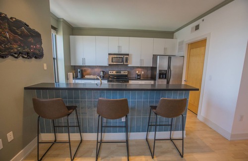 Downtown Des Moines Condo | Designer Downtown Condo Suite - Splendid View