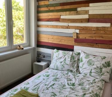 Szentimrevaros Apartment | designer fészek
