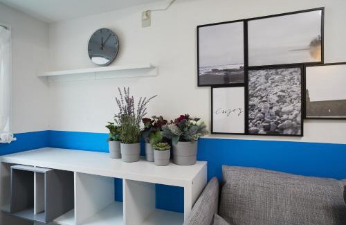 Okubo Villa | Designer's Villa in Shinjuku-ku Shin-Okubo sta 6 min walk F