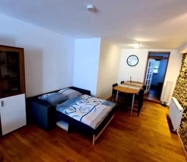 Mainz-Bingen Apartment | Designer Unterkunft in 15. Jahrhundert Altbau 75 m² für max. 4 Personen