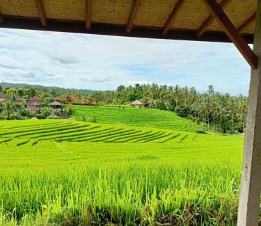 East Selemadeg House | Dewi Nara Guest House By Balitrees