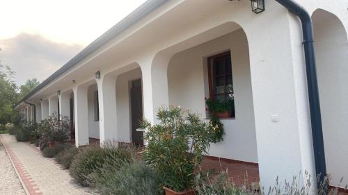 Kapuvar Apartment | Diófa Apartmanház