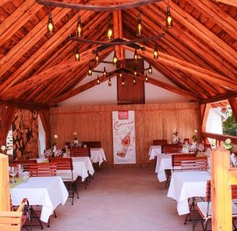Villany Bed & Breakfast | Diófa Panzió