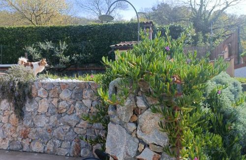 Sarzana Bed & Breakfast | Di Luna e Di Sole