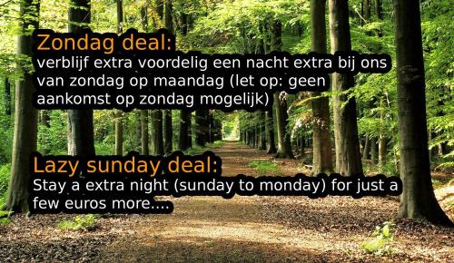 Municipality of Rijssen-Holten House | Diamond Suite in the woods