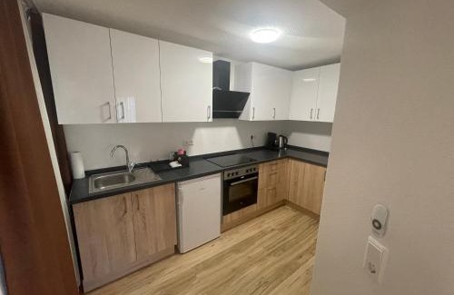 Waldshut-Tiengen Apartment | Die Perle am Rhein