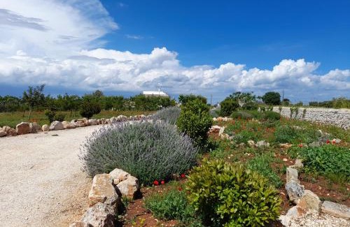 Cisternino Apartment | Dimora Blu