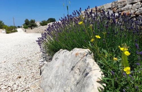 Cisternino Apartment | Dimora Blu