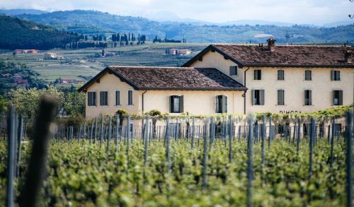 Gargagnago di Valpolicella House | Dimora Buglioni Wine Relais