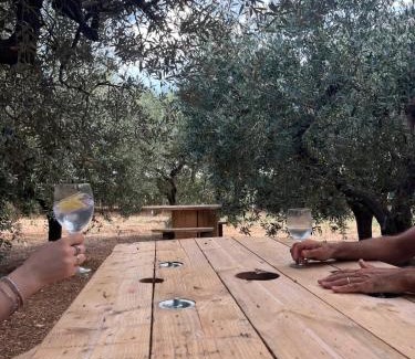 Pollutri Bed & Breakfast | Dimora Dana