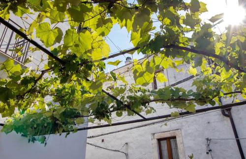 Rutigliano House | Dimore di Bacco