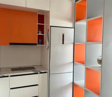 Issyk-Kul Region Apartment | Diona 217