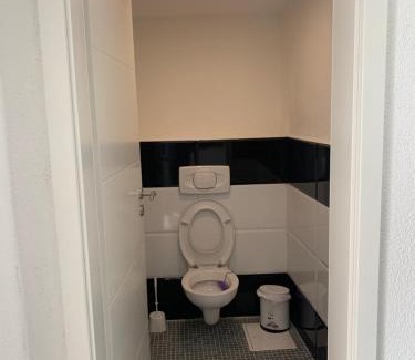 Altstadt Hotel | Dionysos Traube