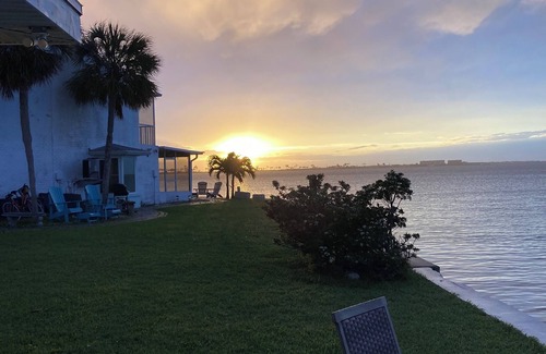 Dunedin House | Direct waterfront home on the Gulf of Mexico. Dunedin.