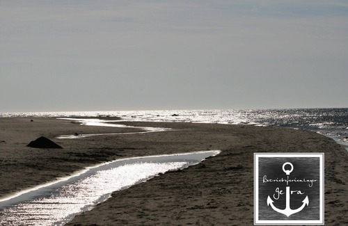Kreptitz House | DIRECTLY ON THE BALTIC SEA, bungalow for 5 persons, pets welcome, eastern-algae