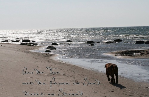 Kreptitz House | DIRECTLY ON THE BALTIC SEA, bungalow for 5 persons, pets welcome, eastern-algae