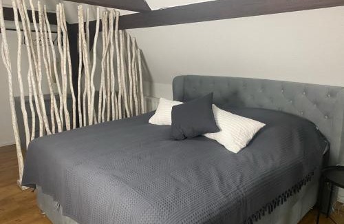 Eisenach Apartment | discovAIR Eisenach - Dachstudio Emma - Schwimmbad-Nah mit Netflix