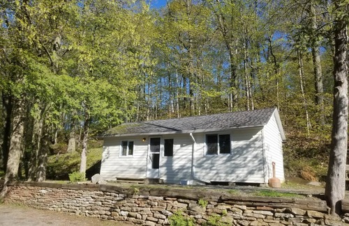 Frontenac Cabin | Discover Melody Lodge, Ontario's Best-Kept Secret Where Tranquil Nature, Adventure, and Comfort Await.