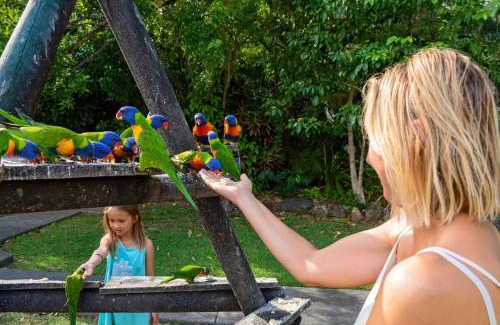 Jubilee Pocket Resort | Discovery Parks - Airlie Beach