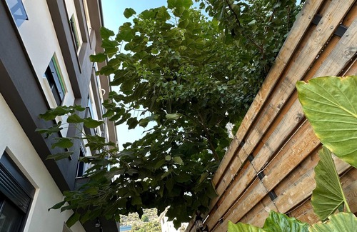 Demre Apartment | Doğan homes likya