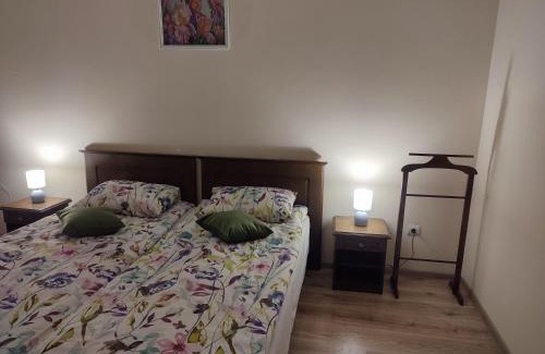 Mukachevo Apartment | DOBA - Центр 2 кім 2 міс Завжди тепла !