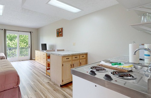 Baneberry Apartment | Dog-friendly, 2nd-floor studio with patio & gym - close to golf & Douglas Lake