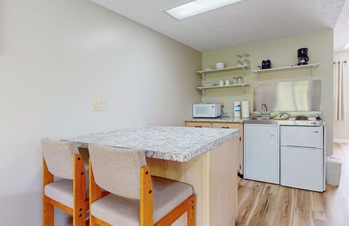 Baneberry Apartment | Dog-friendly, 2nd-floor studio with patio & gym - close to golf & Douglas Lake
