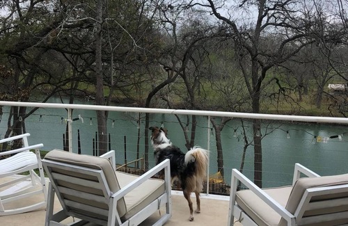 Seguin House | Dog Friendly Charming 4-bedroom house with AC and WiFi in superb Seguin