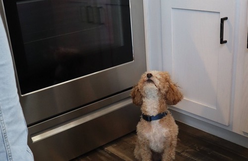 Sandusky Cottage | Dog Friendly cottage with Lake views at Bayfront Resort in Sandusky, Ohio