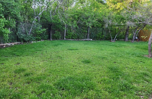 Austin House | Dog Friendly in South Austin