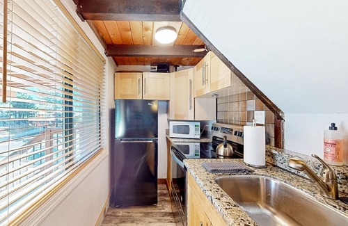 Tahoe Village Condo | Dog-friendly nature escape with generous balcony, fireplace, & views, sleeps 6