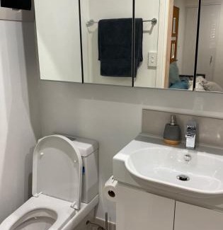 Halekulani Apartment | Dog friendly new humble abode In hotspot location