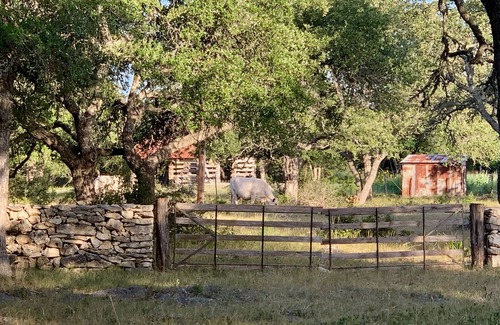 Kendall County House | Dog-Trot Home on secluded acreage with pool and game room.