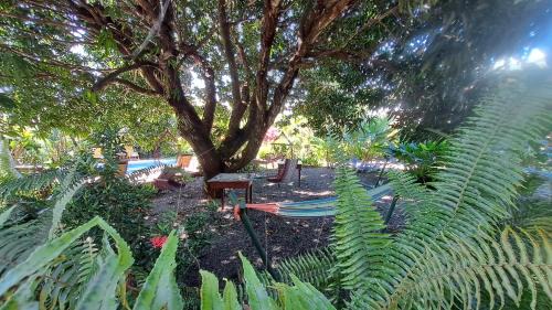 Uvita Hotel | Dolce Uvita