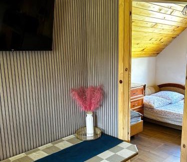 gmina Bircza Apartment | DOLINA ROZTOKI-mieszkanie,pokoje lub domek z lokalem na poddaszu