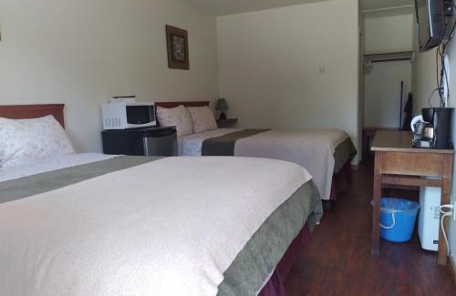 Tofino Hotel | Dolphin Motel