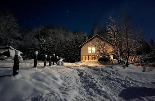 Nasiczne Villa | Dom na skraju parku