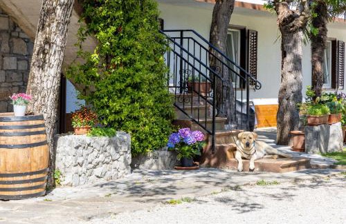Miren-Kostanjevica Bed & Breakfast | Domačija Mirko