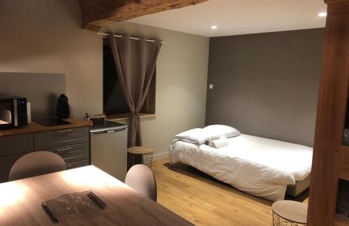 Saint-Etienne-des-Oullieres Apartment | Domaine des Dutreve