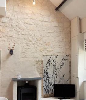 Brion House | Domaine Chateau La Mothaye-self catering gites- shared pool- Loire valley