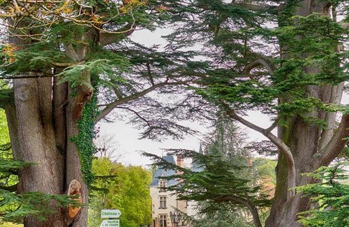 Noyant-de-Touraine House | Domaine de Brou