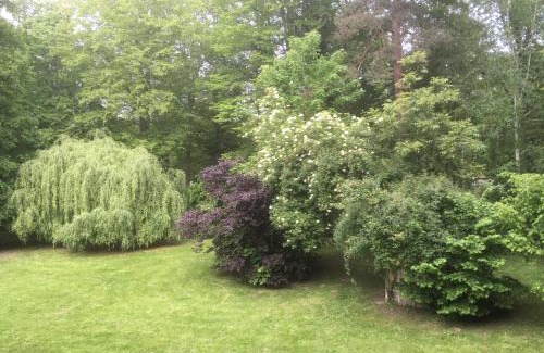 Bois-le-Roi House | Domaine De Chantemerles