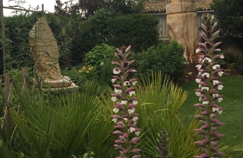 Gauriac Bed & Breakfast | Domaine des Deux Cèdres
