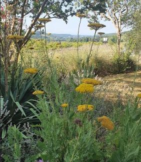 Montcuq Bed & Breakfast | Domaine Lapèze
