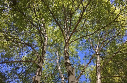 Aydat Hotel | Domaine les 2 Mondes
