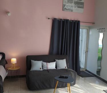Gemozac Apartment | Domaine Moulin D' Elemiah