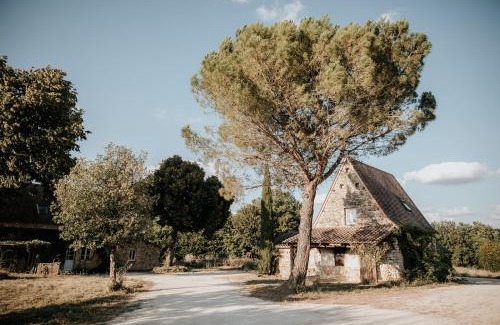 Saint-Amand-de-Coly Other | Domaine St-Amand