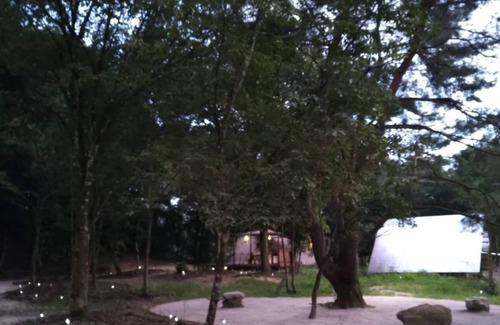 Saga Cabin | Dome tent green / Saga Saga